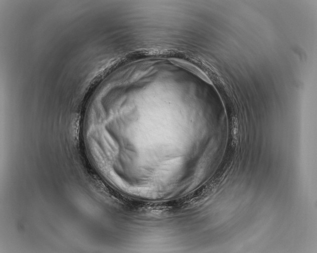 X0000112890495200909041704