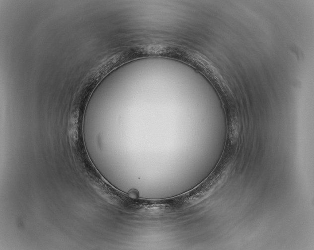 X0000112890497200909041704