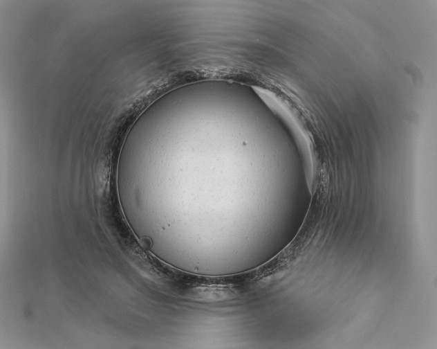 X0000112890499200909041704