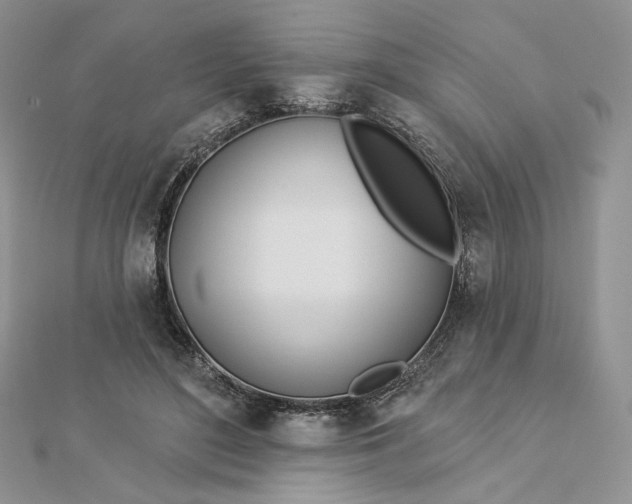 X0000112890500200909041704
