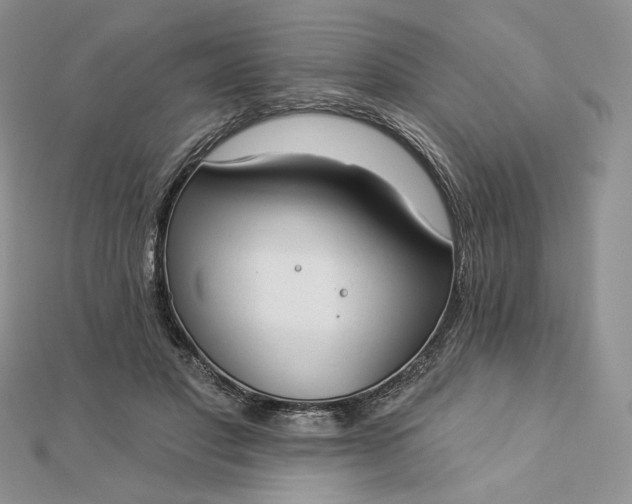 X0000112890501200909041704