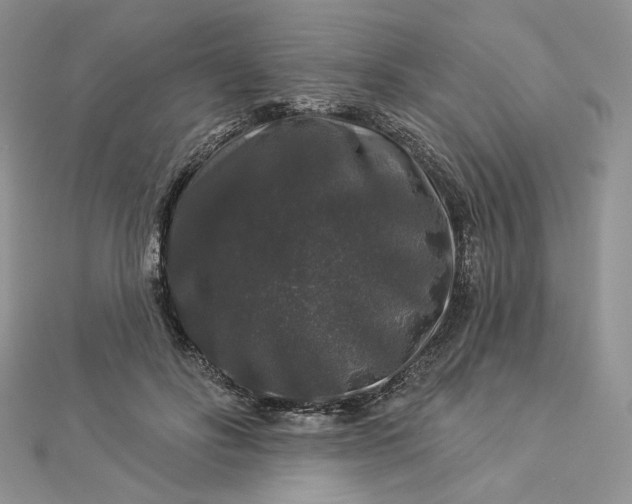 X0000112890502200909041704