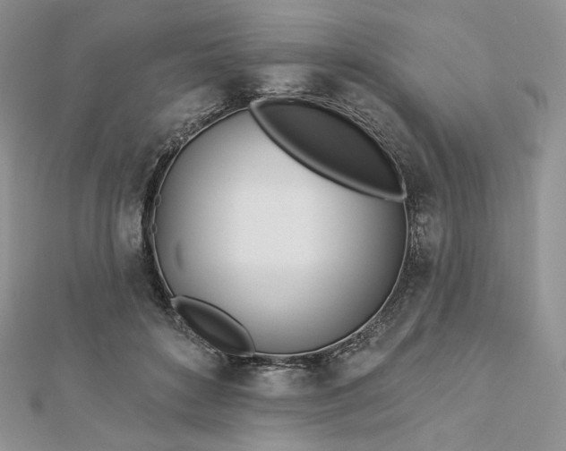 X0000112890504200909041704