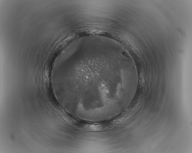 X0000112890506200909041704