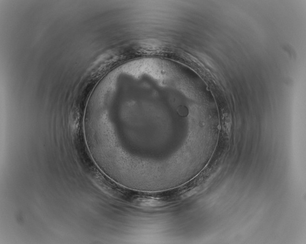 X0000112890507200909041704