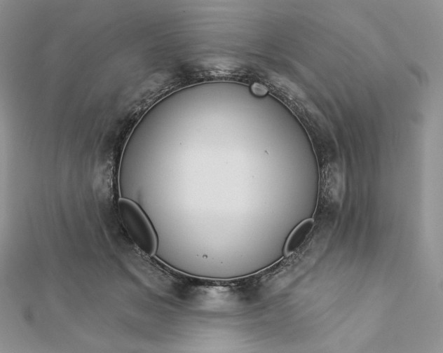 X0000112890509200909041704