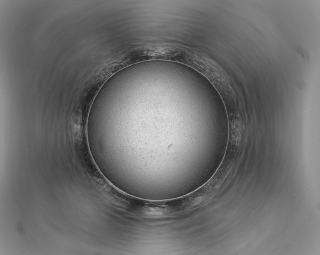 X0000112890510200909041704