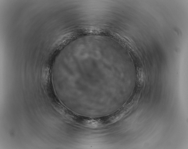 X0000112890511200909041704