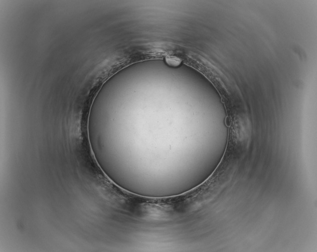 X0000112890512200909041704