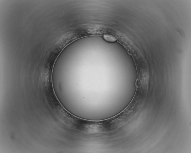 X0000112890513200909041704