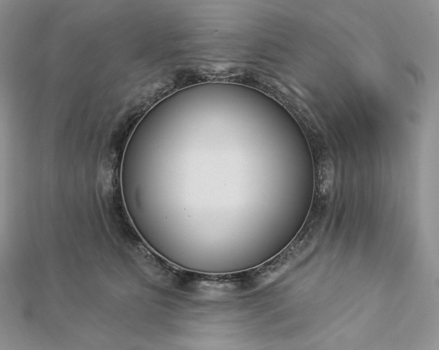 X0000112890515200909041704