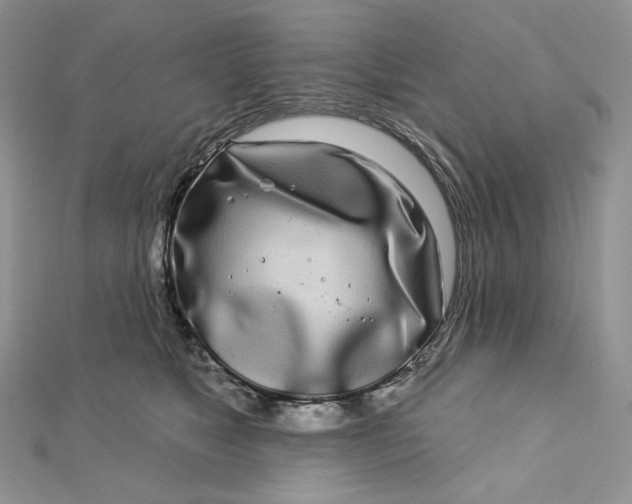 X0000112890517200909041704