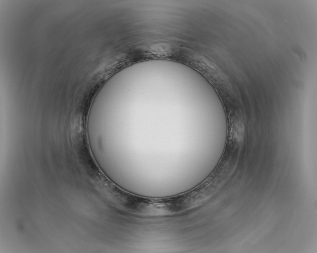 X0000112890518200909041704