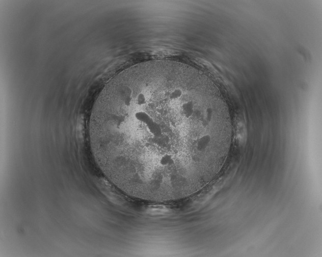 X0000112890519200909041704