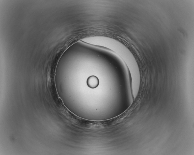 X0000112890520200909041704