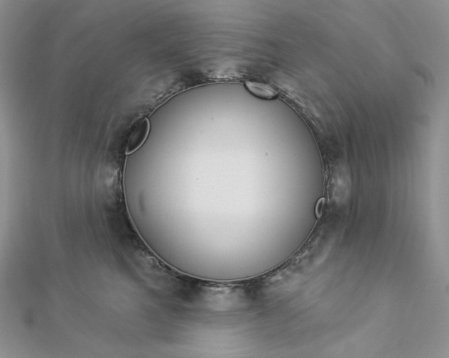 X0000112890521200909041704