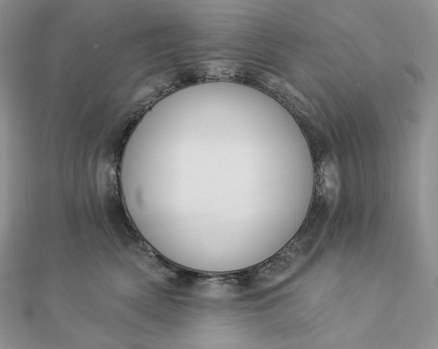 X0000112890522200909041704