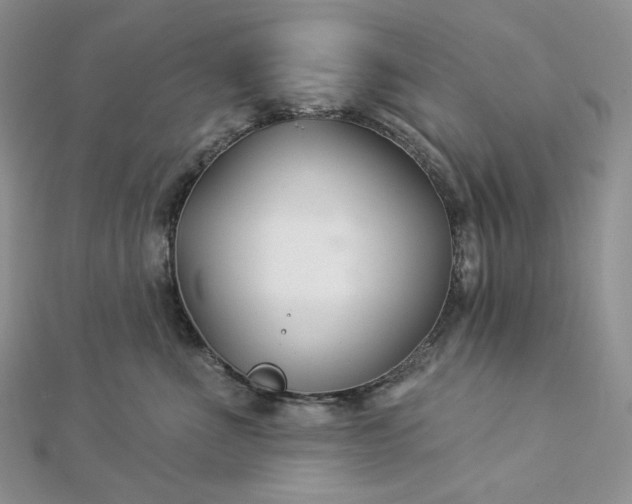 X0000112890523200909041704