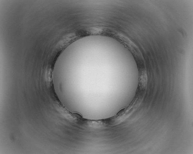X0000112890525200909041704
