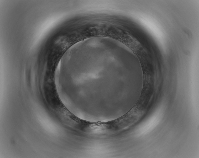 X0000112890526200909041704