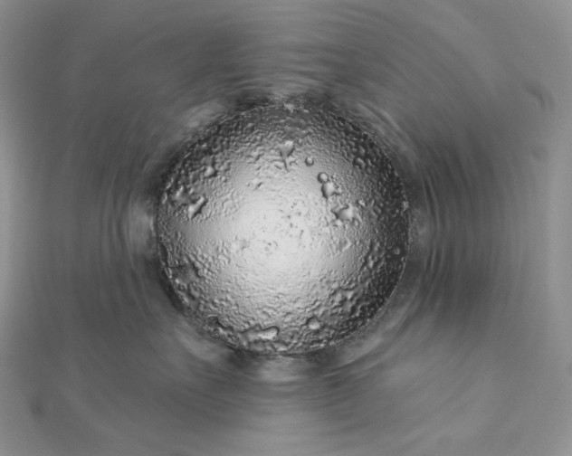 X0000112890527200909041704