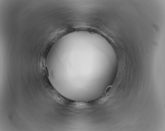 X0000112890528200909041704