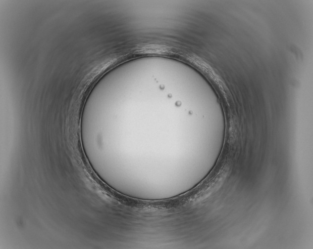 X0000112890529200909041703