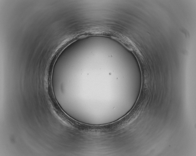 X0000112890530200909041703