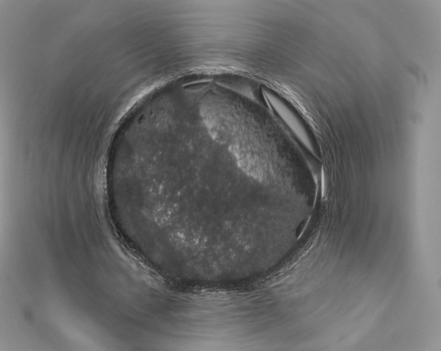X0000112890531200909041703