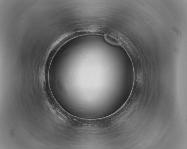 X0000112890532200909041703