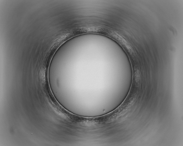 X0000112890537200909041704