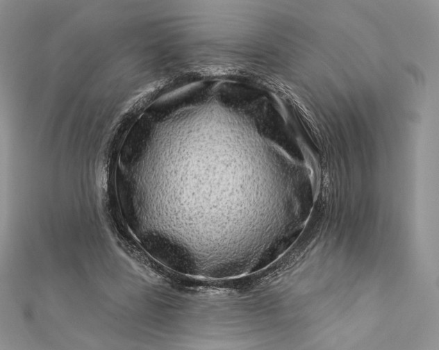 X0000112890539200909041704