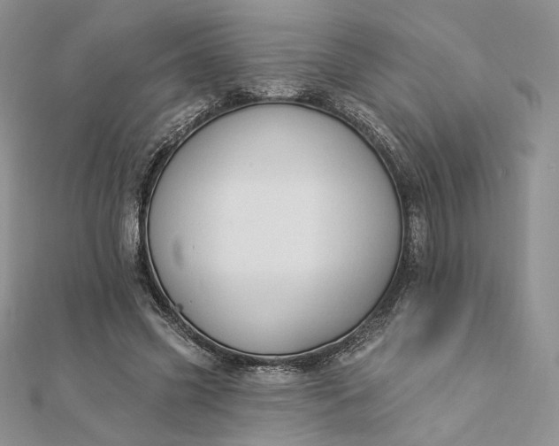 X0000112890541200909041704