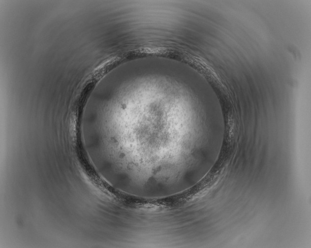X0000112890542200909041704