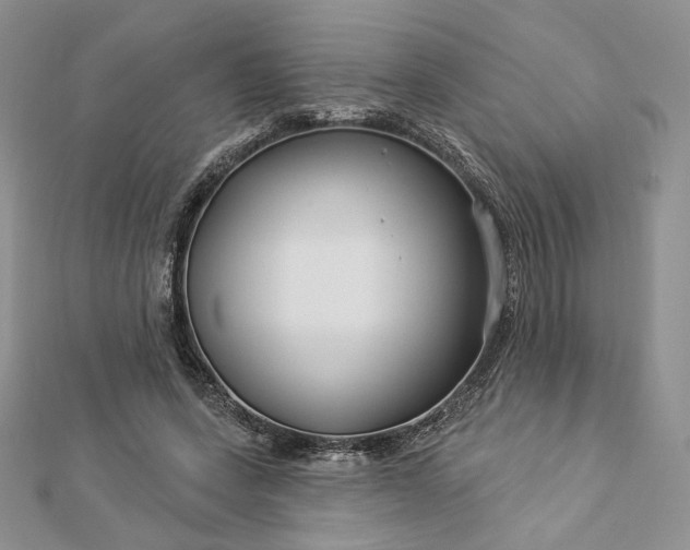 X0000112890543200909041704