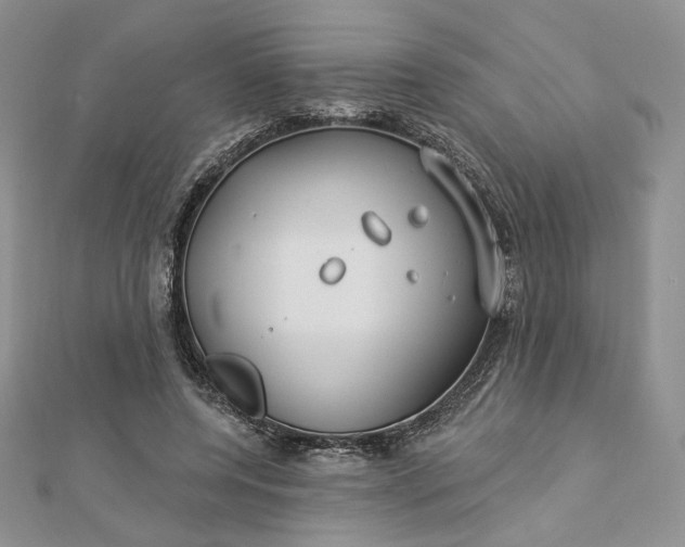 X0000112890544200909041704