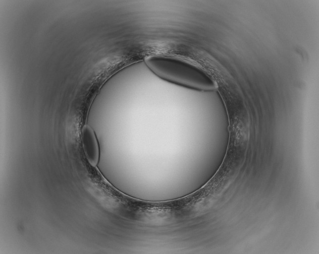 X0000112890546200909041704