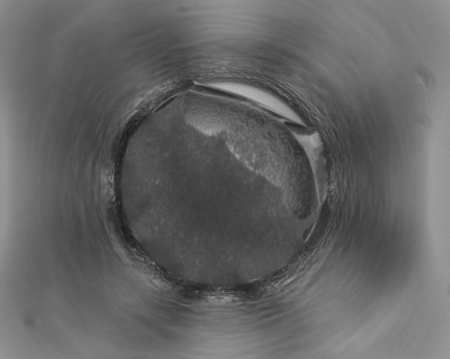 X0000112890547200909041704