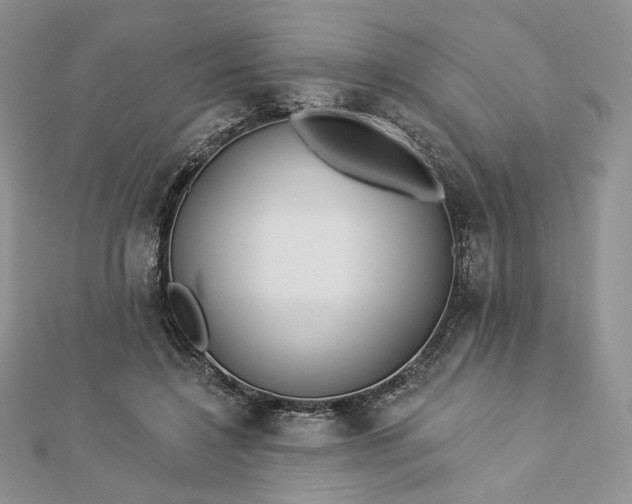 X0000112890548200909041704