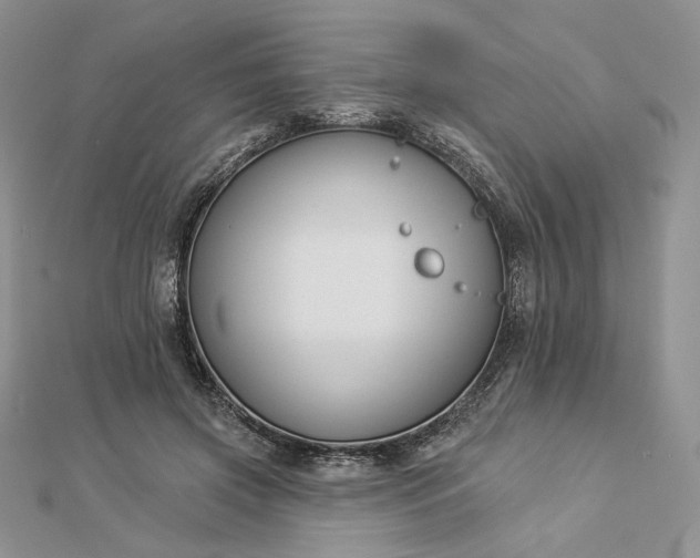 X0000112890549200909041704