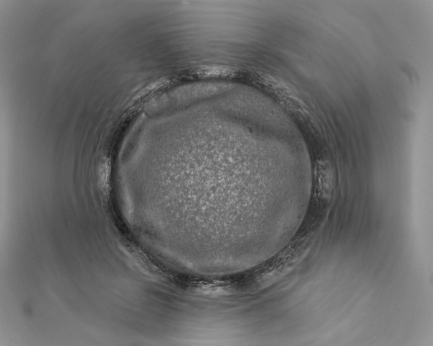 X0000112890550200909041704