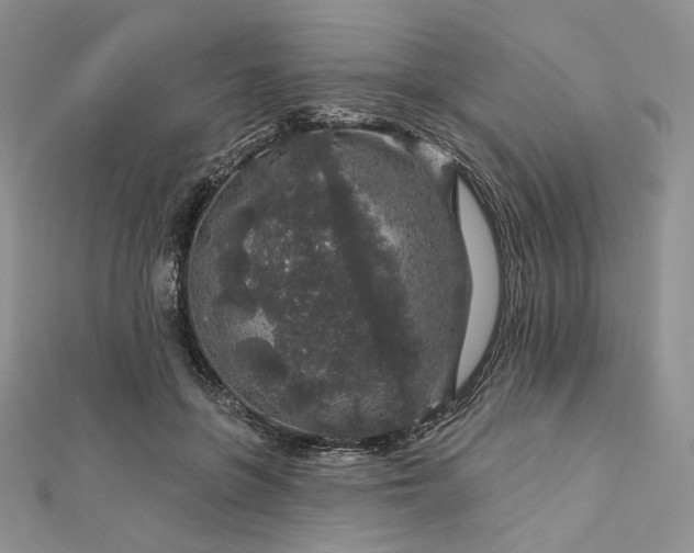 X0000112890551200909041704