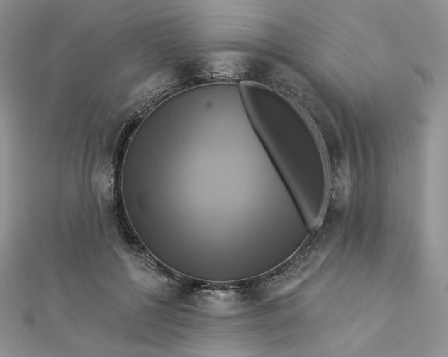 X0000112890552200909041704