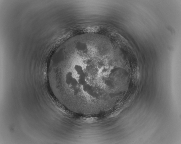 X0000112890553200909041704