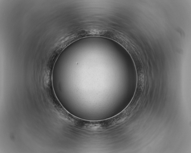 X0000112890554200909041704