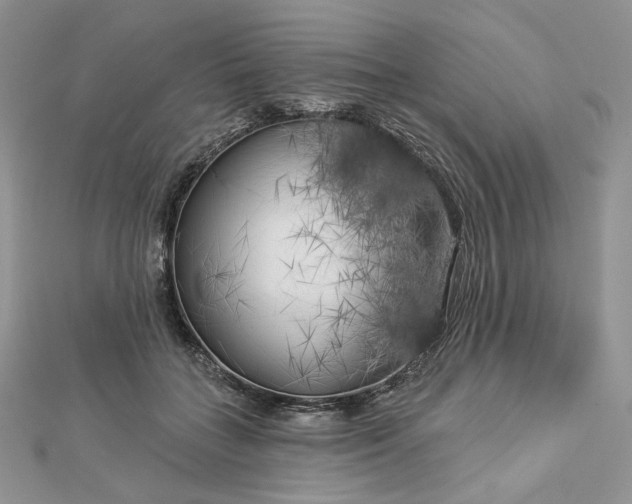 X0000112890555200909041704