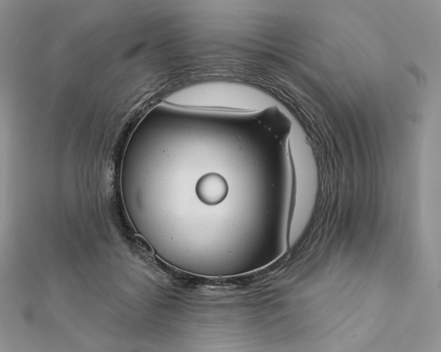 X0000112890556200909041704