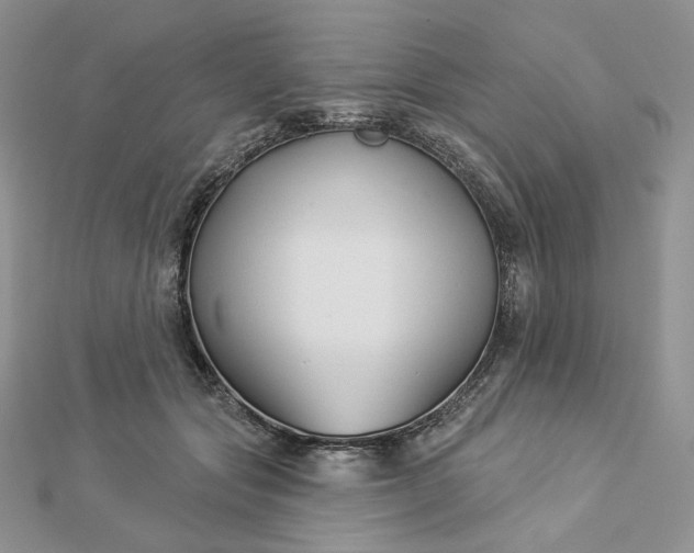 X0000112890557200909041704
