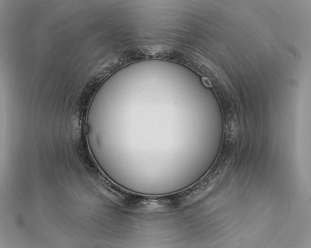 X0000112890558200909041704