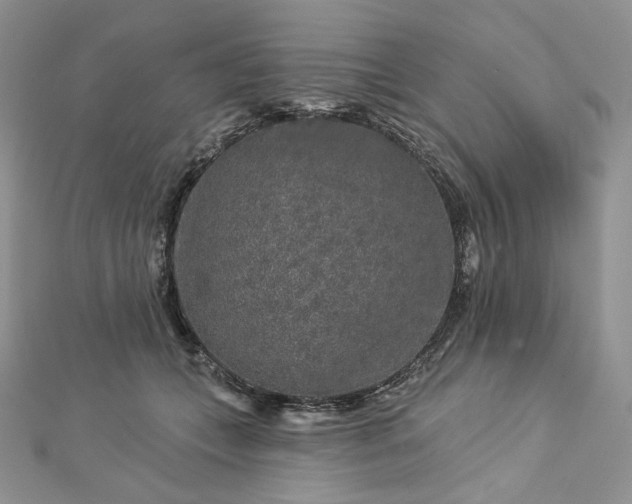 X0000112890559200909041704